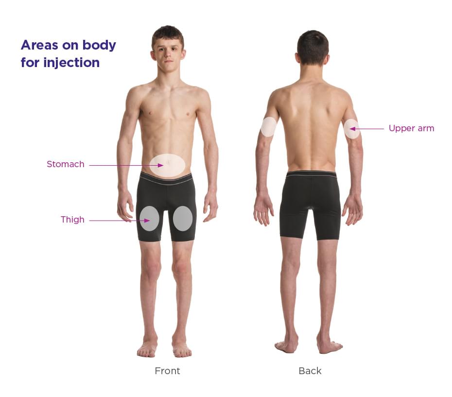 body area image