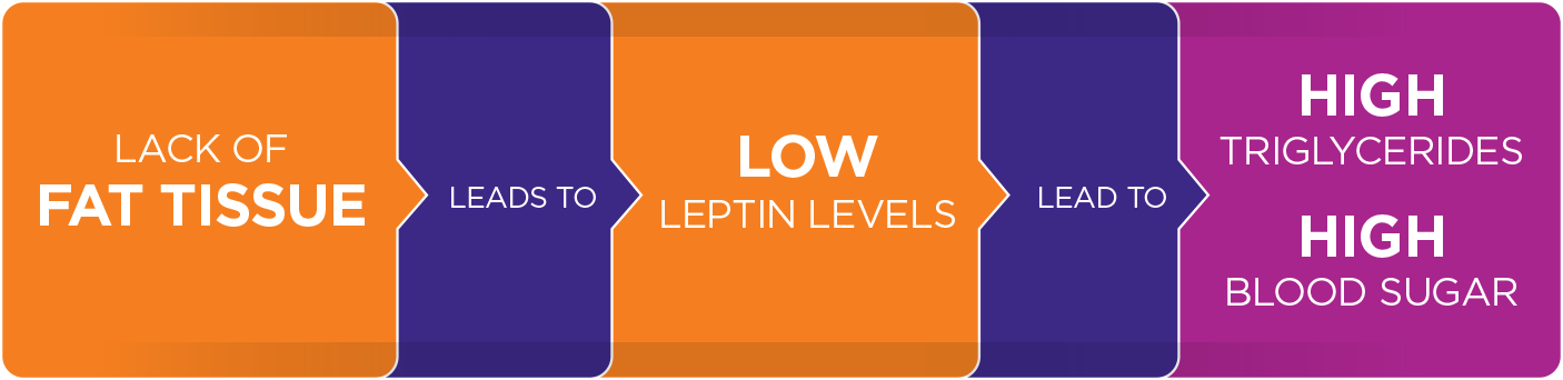 Chart discussing lack of fat tissue causing low leptin levels which leads to high triglycerides and blood sugar in people with GL