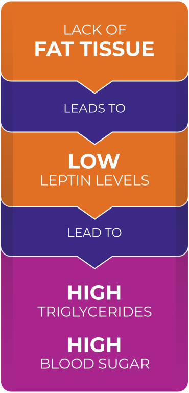 chart-depicting-internal-process-leading-to-gl
