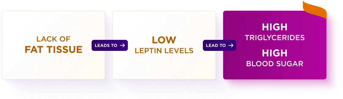 Flowchart showing the relationship between fat tissue, leptin levels, and metabolic outcomes. The first box reads 'Lack of fat tissue' and has an arrow labeled 'Leads to' pointing to the second box, which reads 'Low leptin levels'. Another arrow labeled 'Lead to' points to the final purple box, which reads 'High triglycerides' and 'High blood sugar'.
